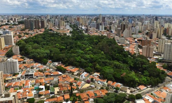 Bosque dos Jequitibás