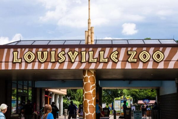 Louisville Zoo (Boo at the Zoo)